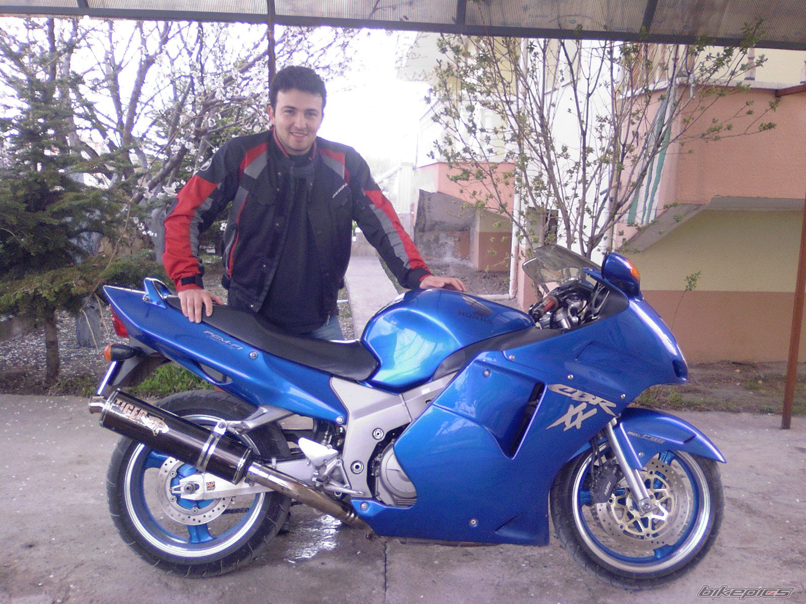Photo 1248461