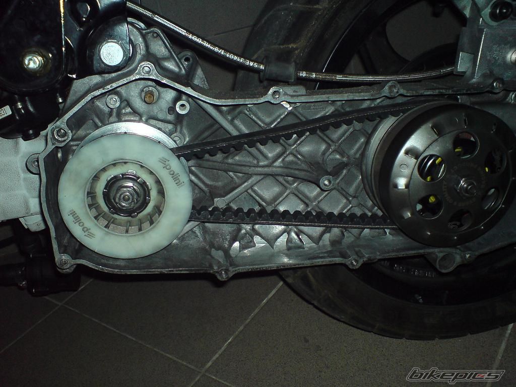 Photo 1248473