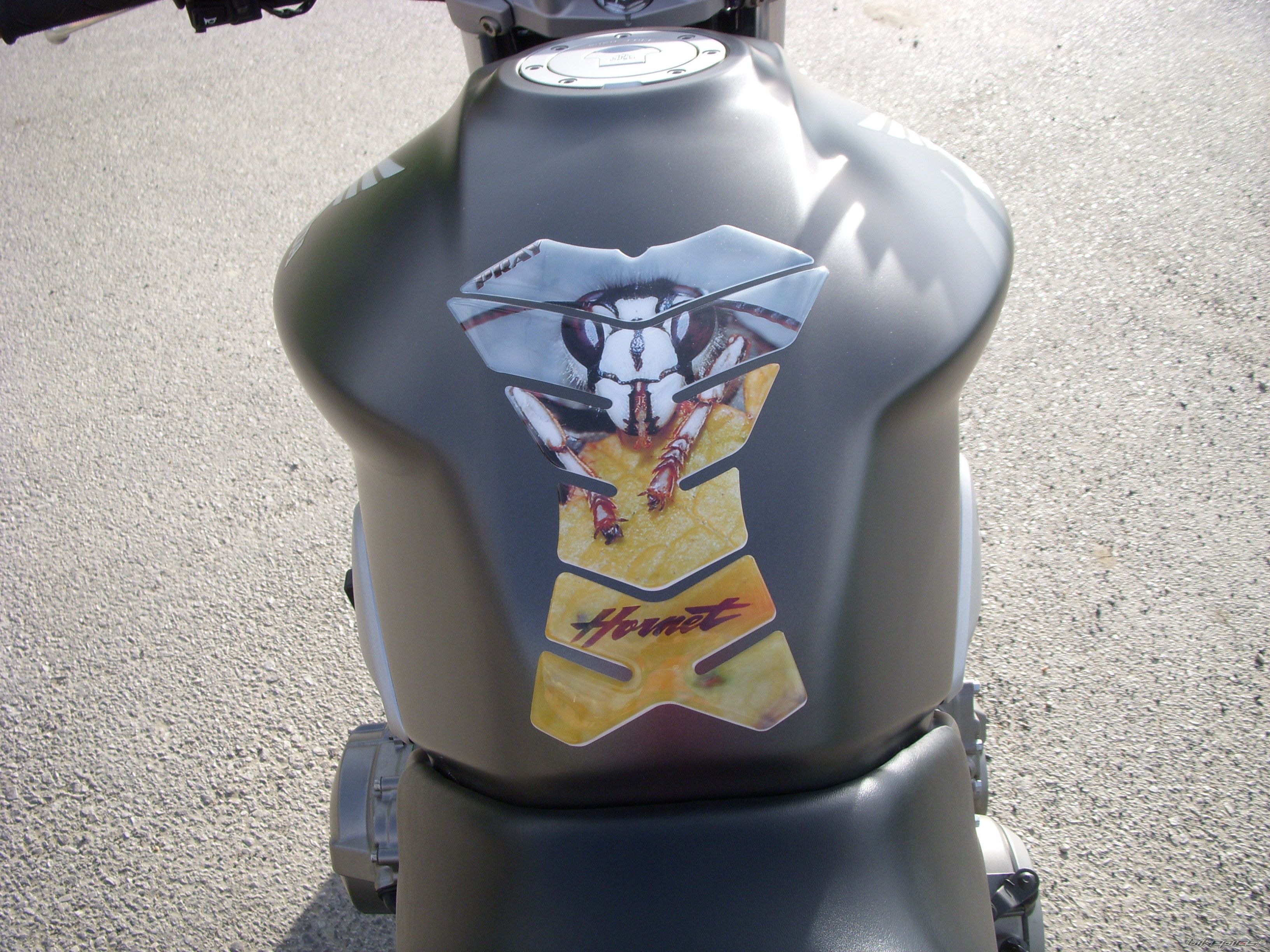 Photo 1248509