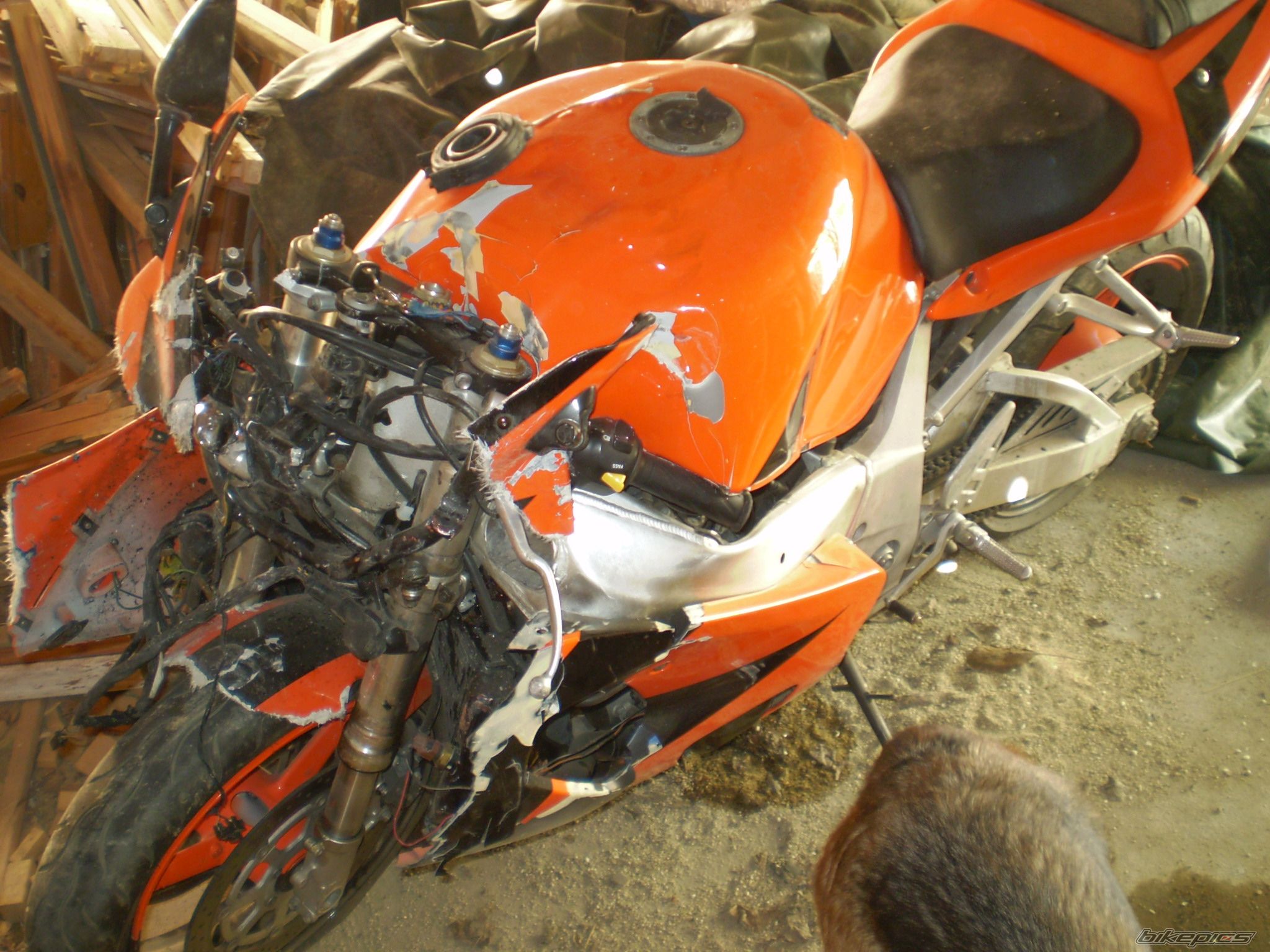 Bike Photo 1248546