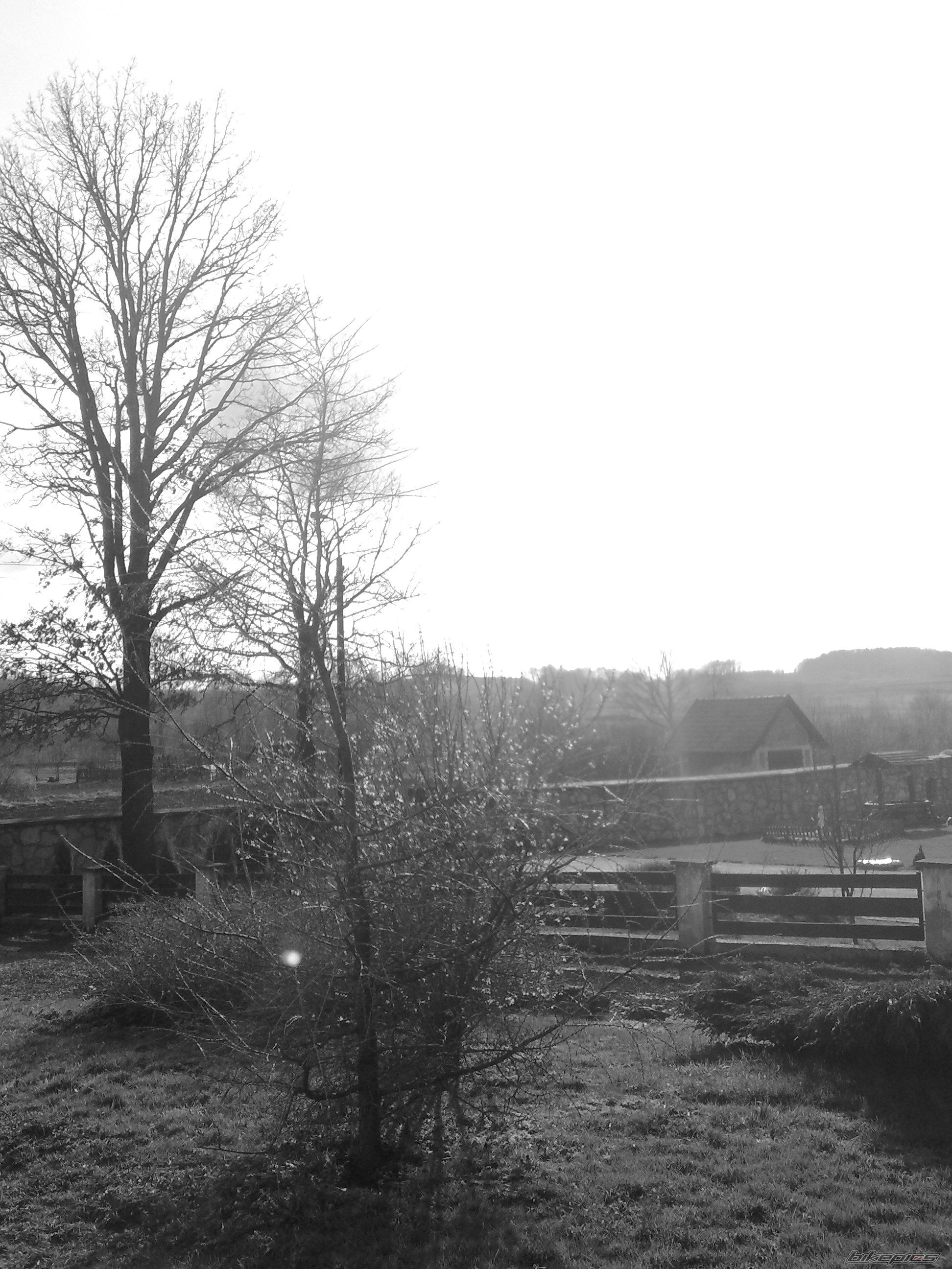Photo 1248675