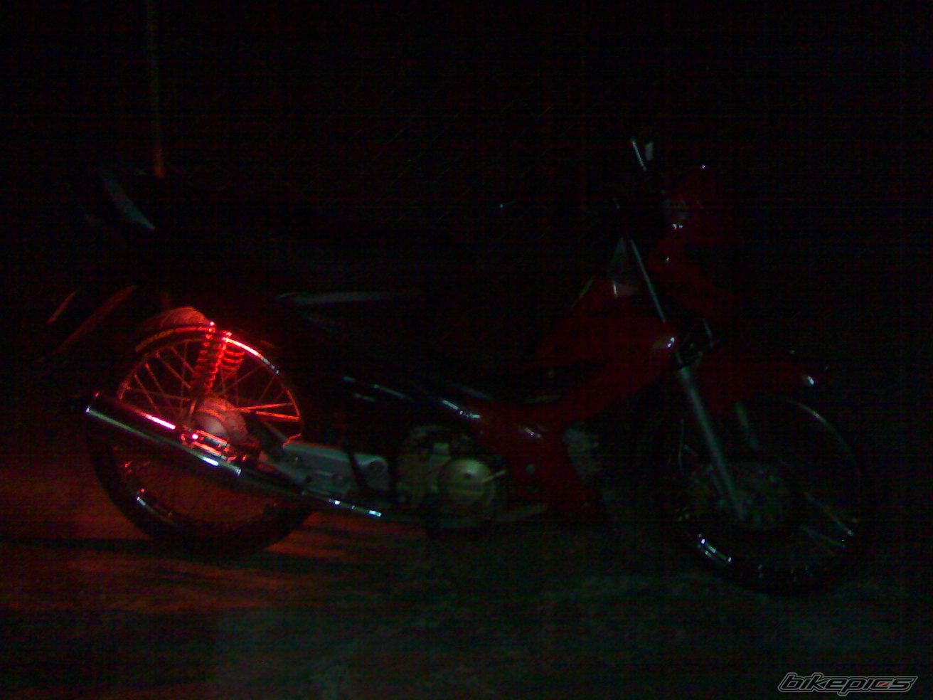 Photo 1248686