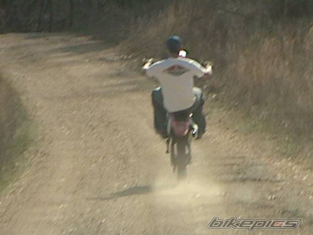 Photo 124869