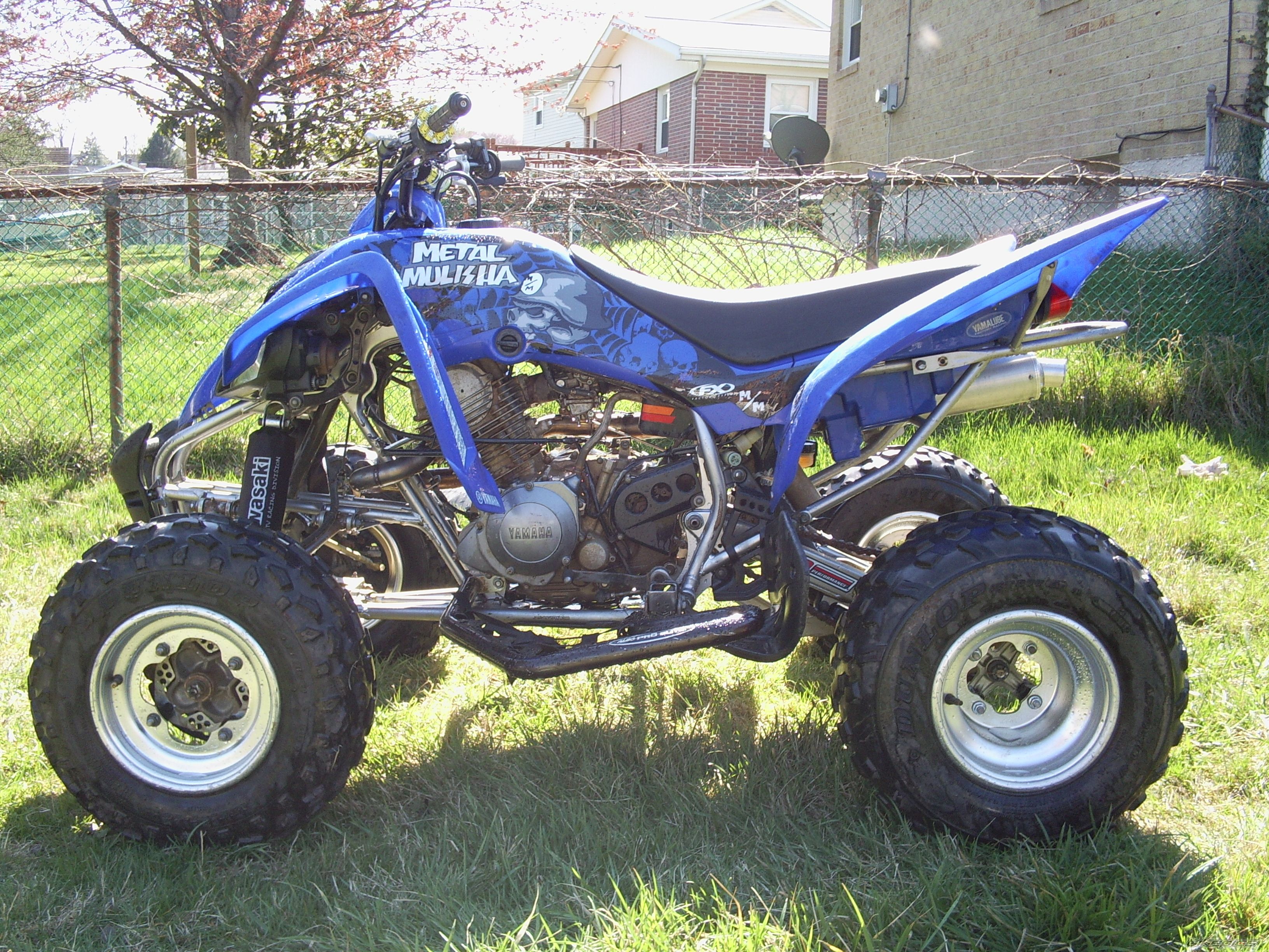 Photo 1248697