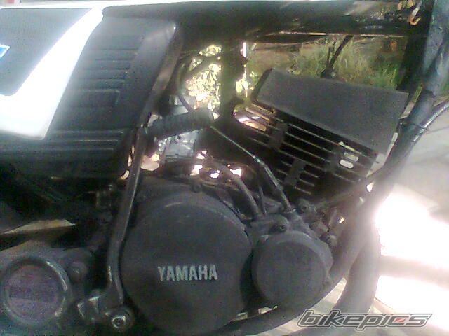 Photo 1248846
