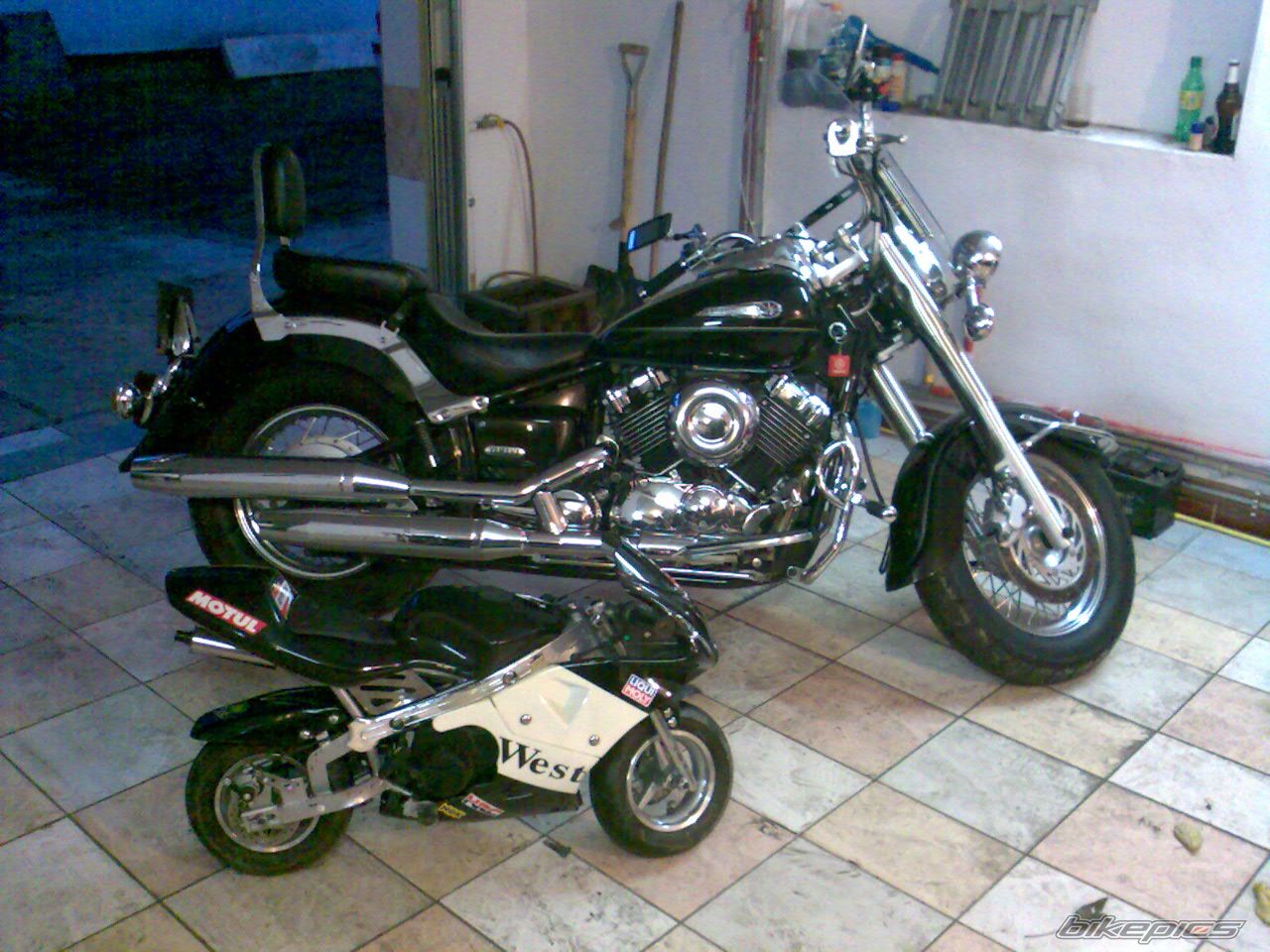 Photo 1248975