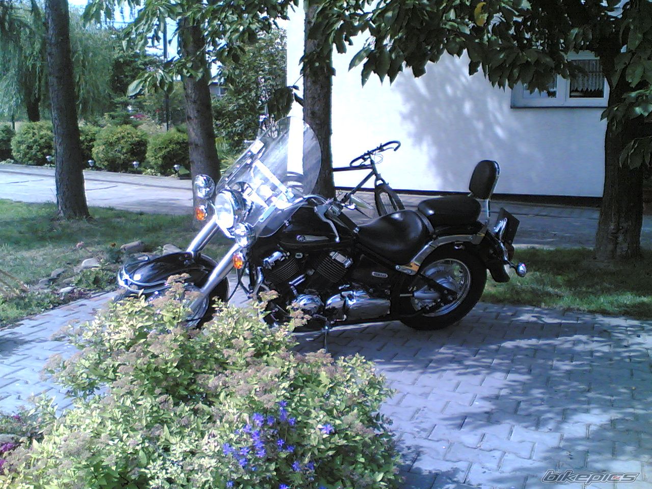 Photo 1248978