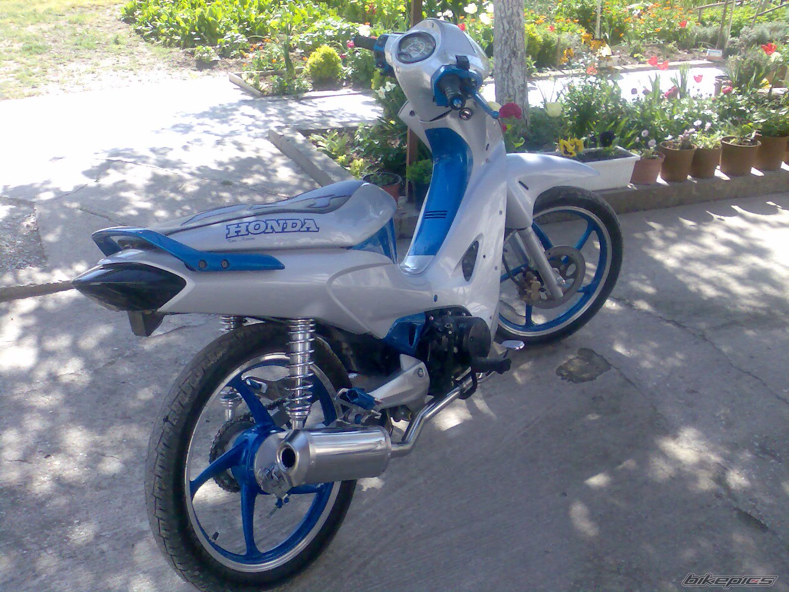Photo 1249042