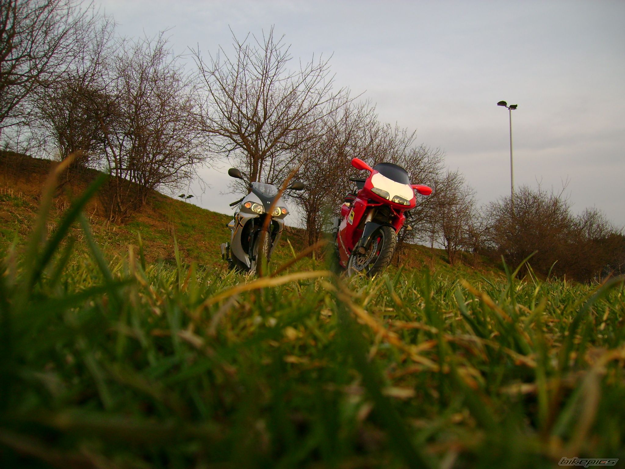 Bike Photo 1249180