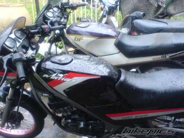 Photo 1249247