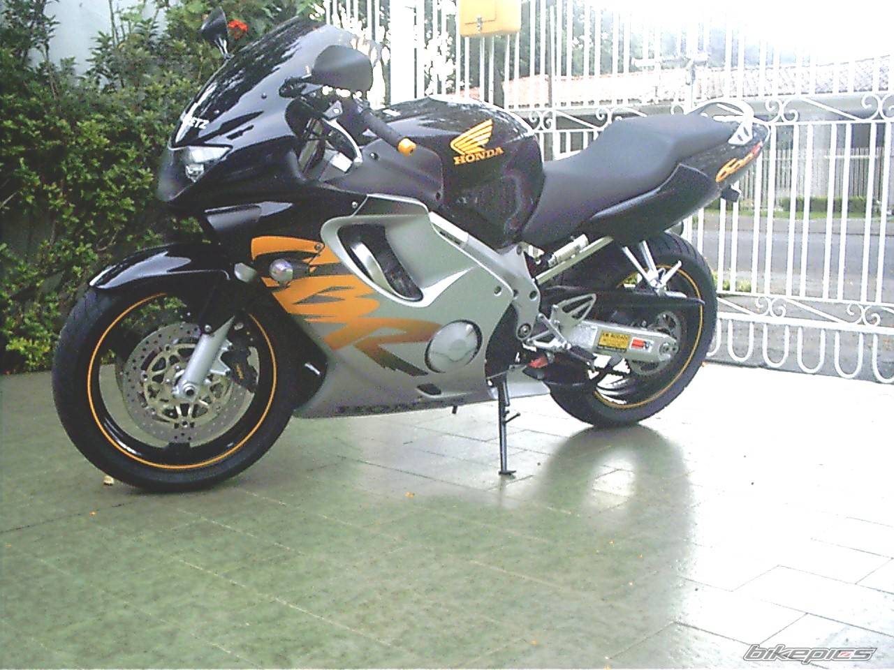 Photo 124928