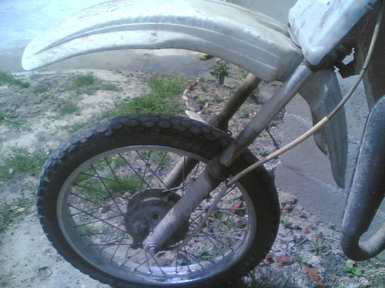 Photo 1249296