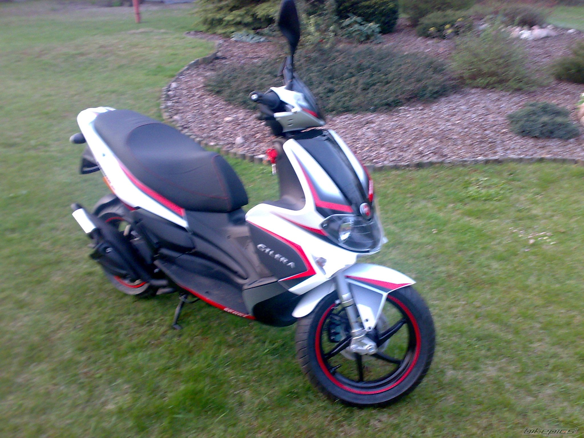 Photo 1249320