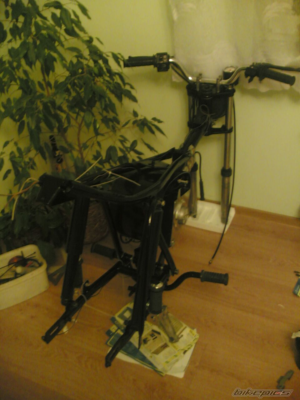 Photo 1249341