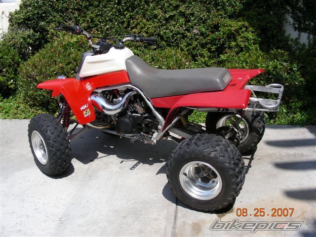 Photo 1249374