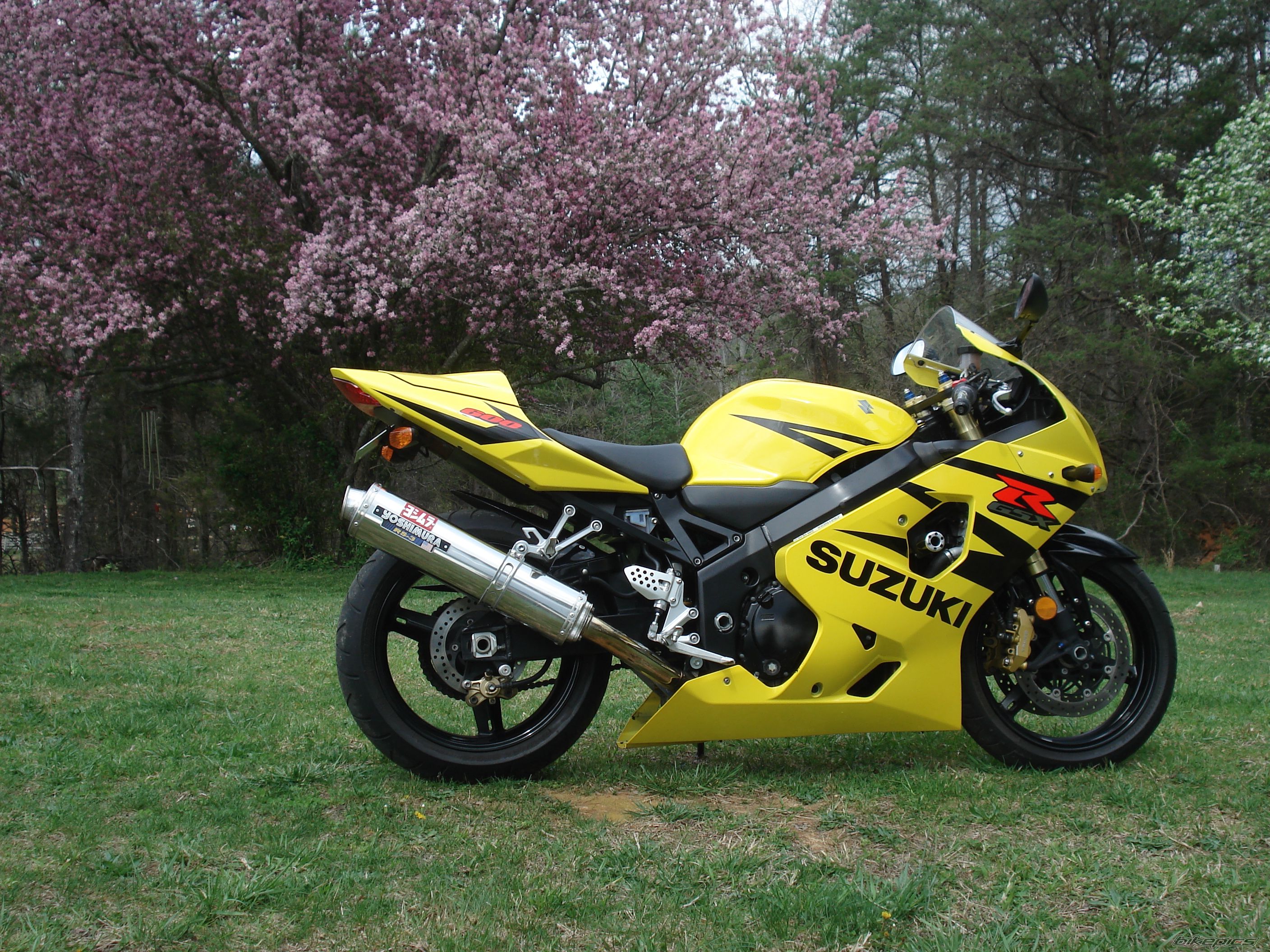 Bike Photo 1249398
