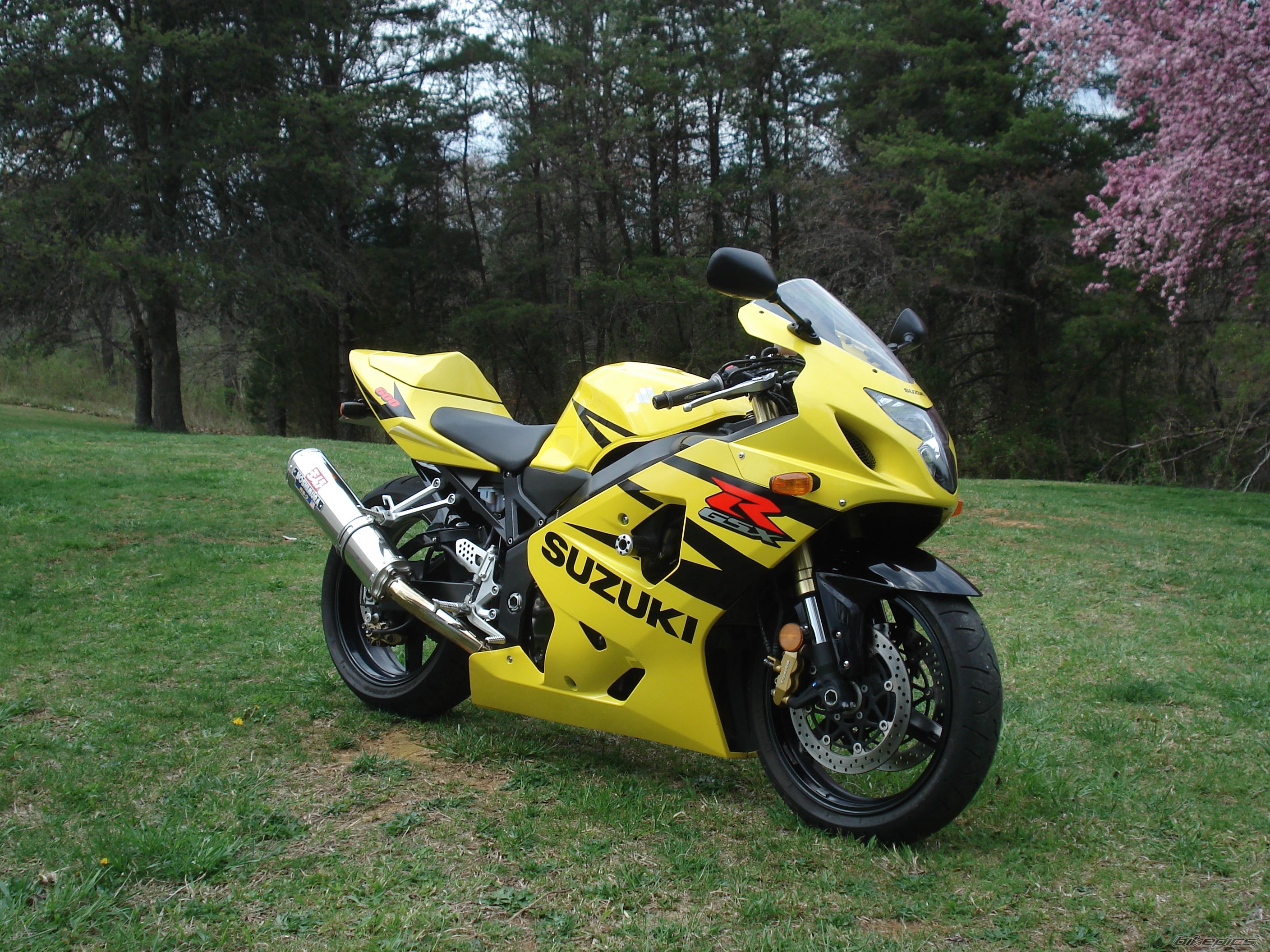 Bike Photo 1249402