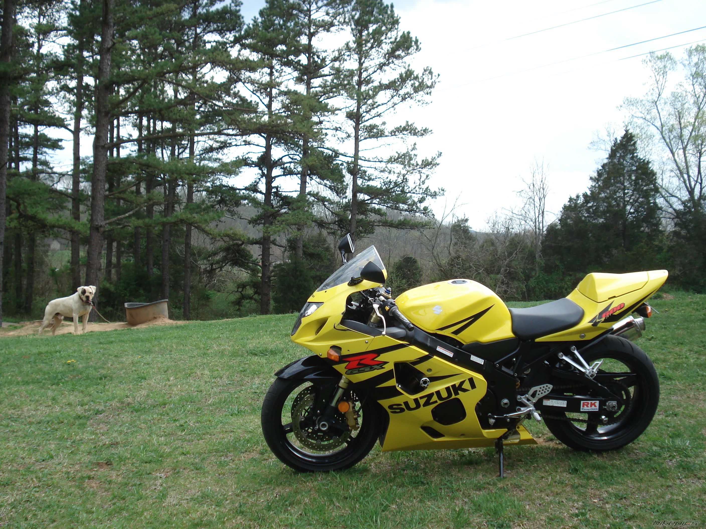Bike Photo 1249409