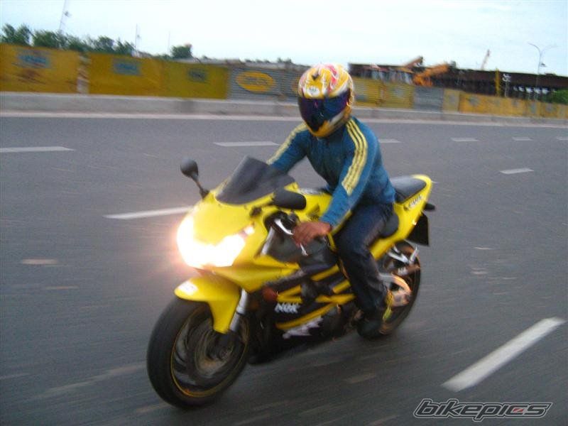 Photo 1249434