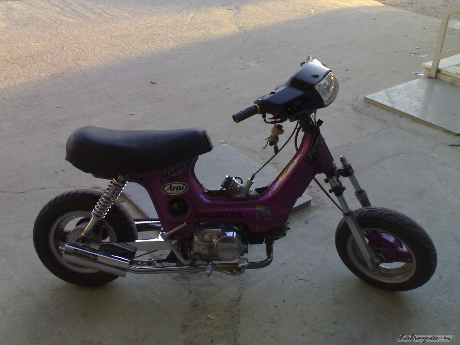 Photo 1249477
