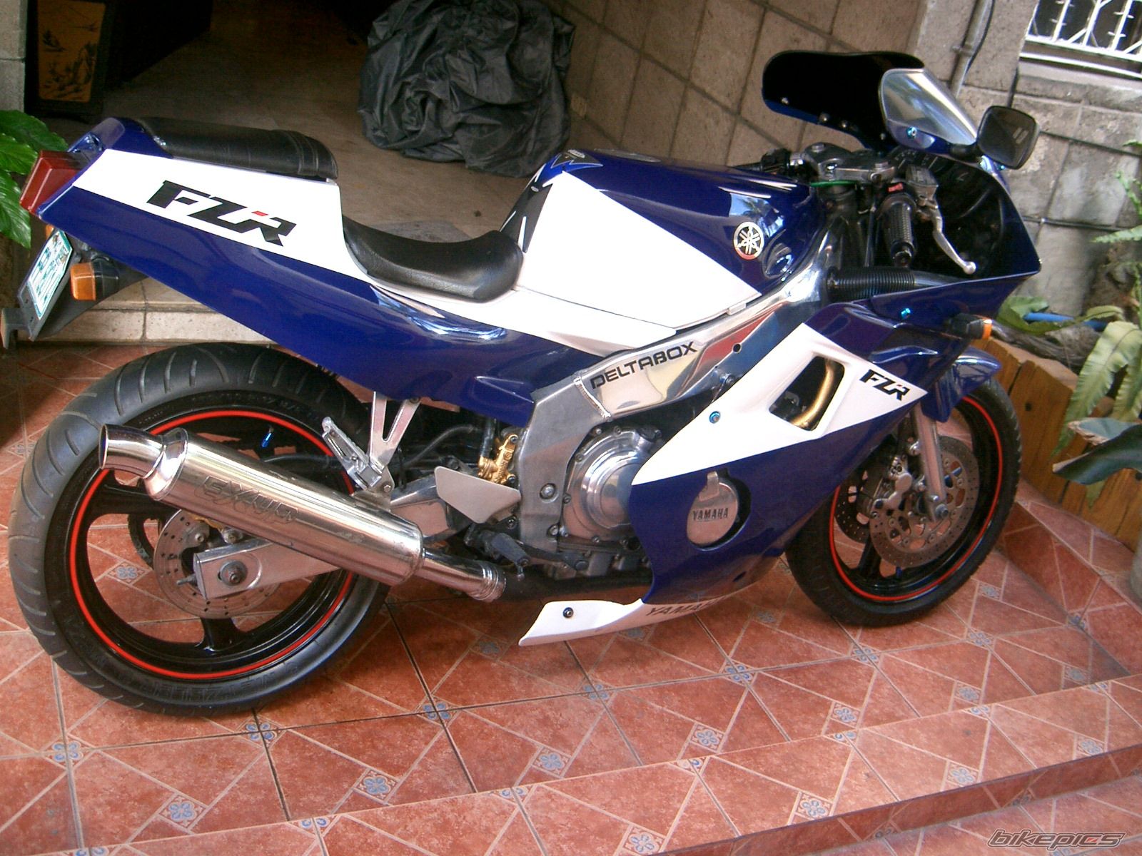Photo 1249483