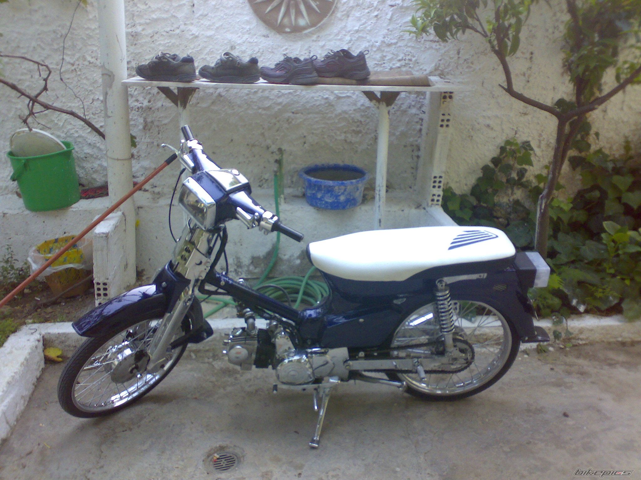 Photo 1249503