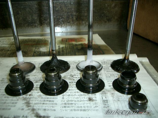 Photo 1249602