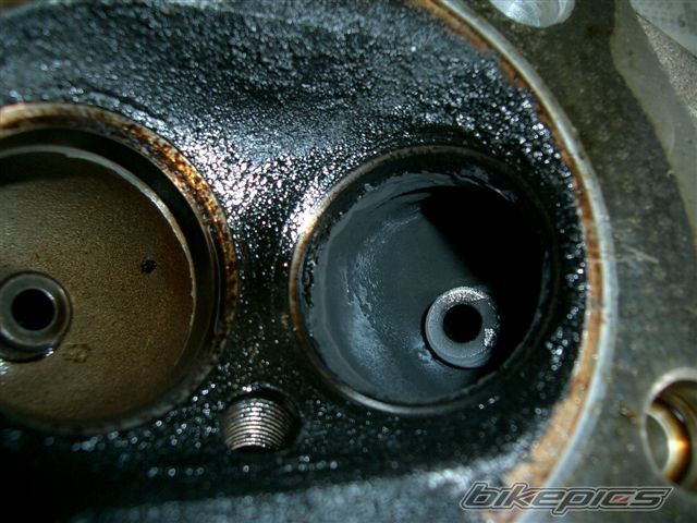 Photo 1249608
