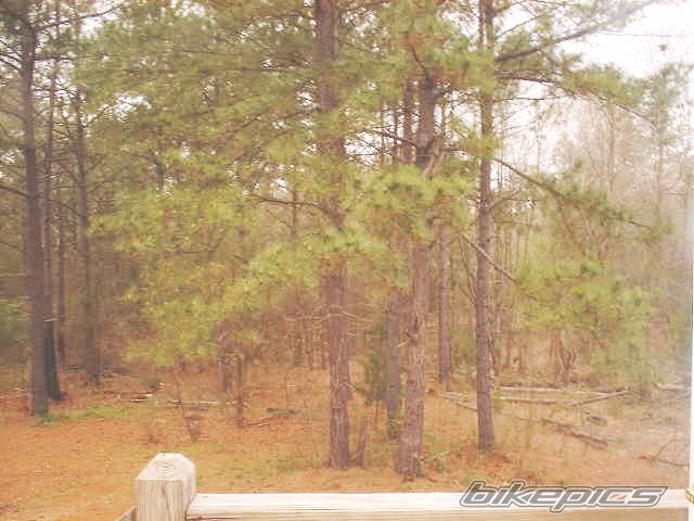Photo 1249630