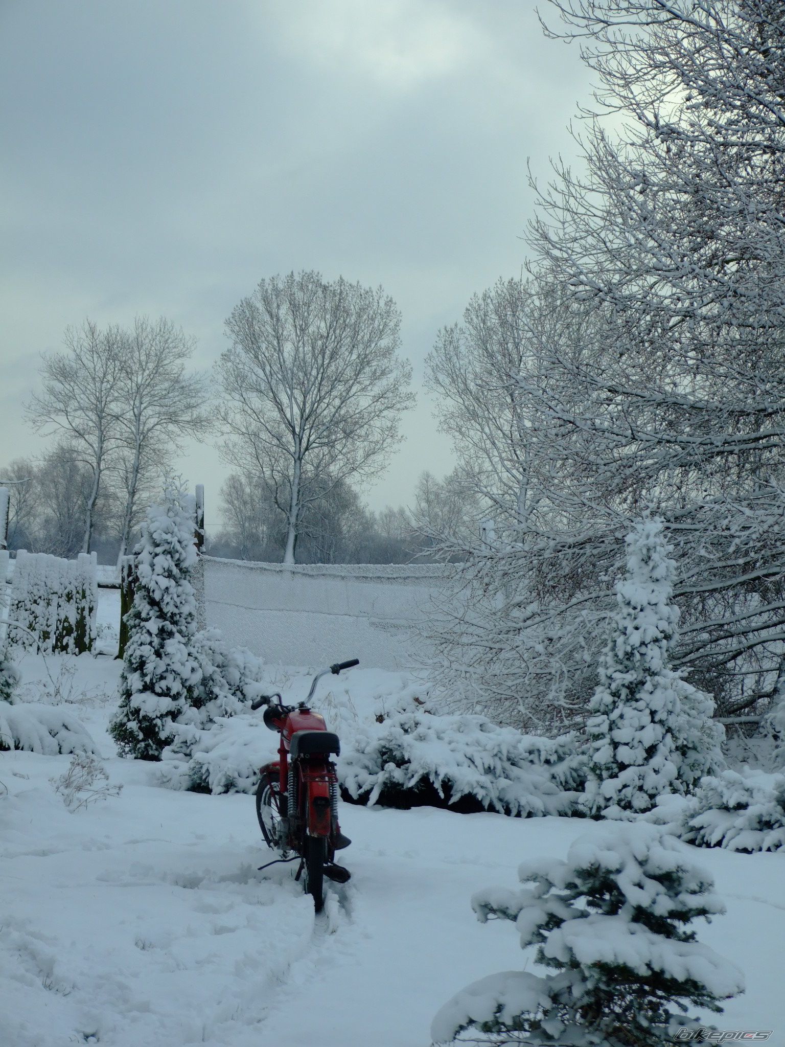 Photo 1249767