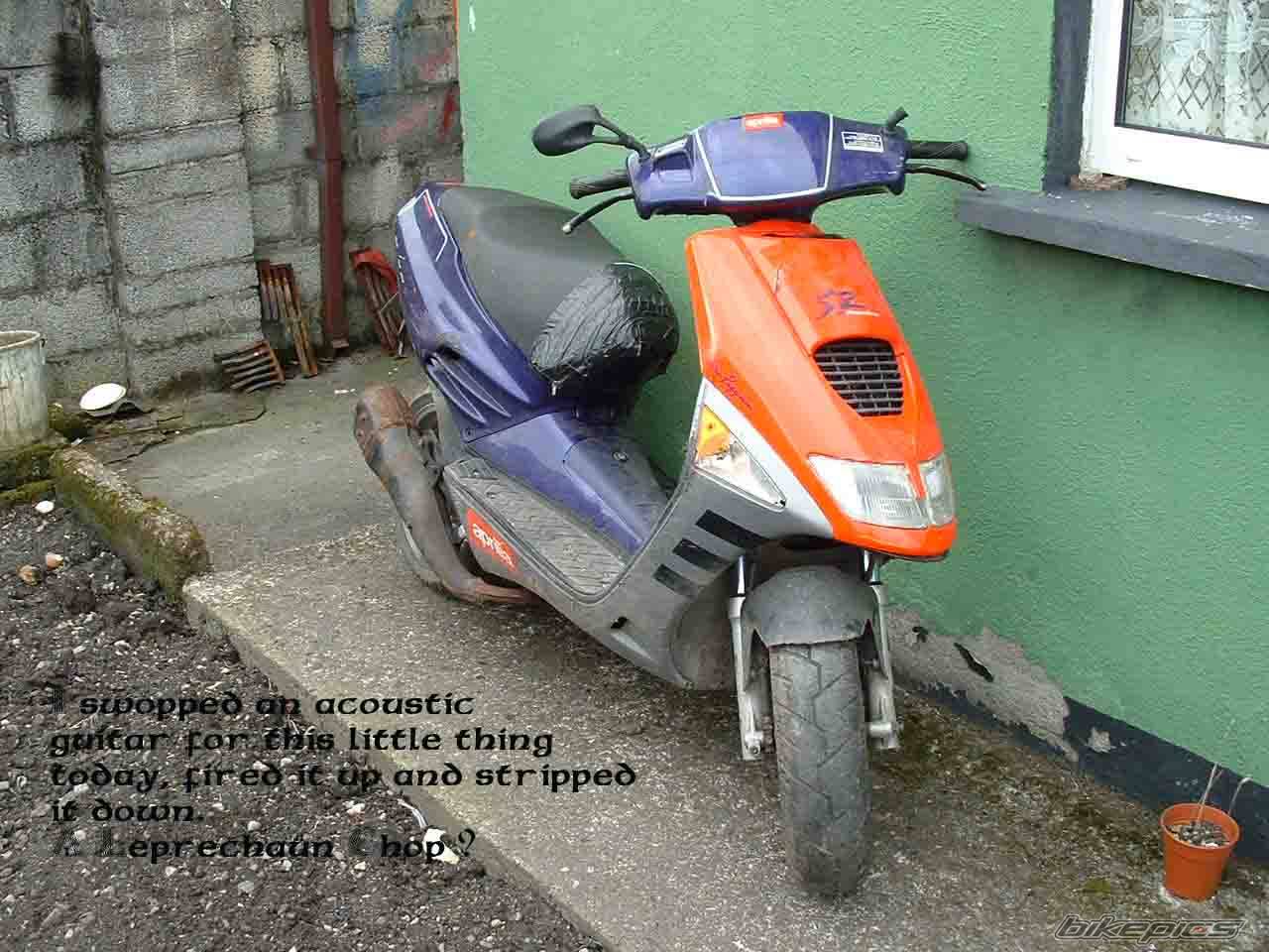 Photo 124982