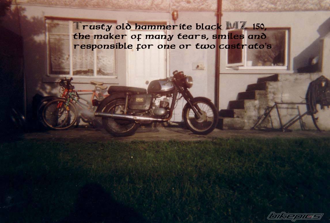 Photo 124984