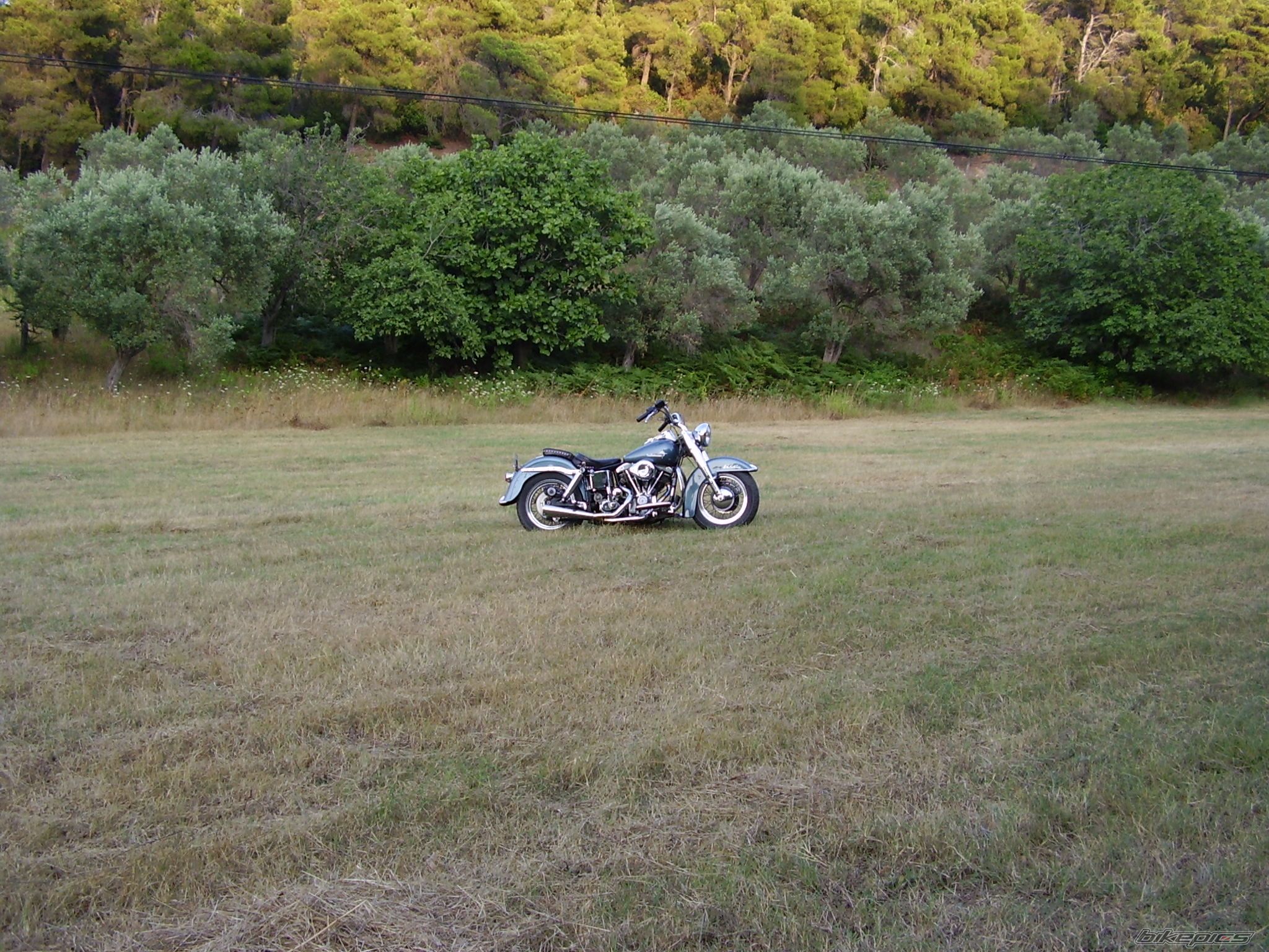 Photo 1249947