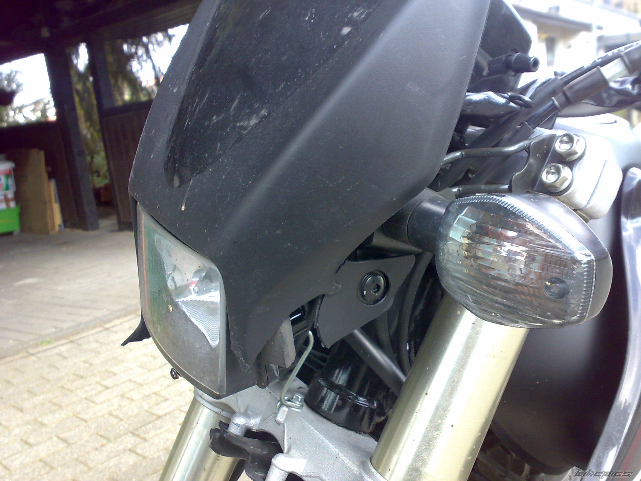 Photo 1250029