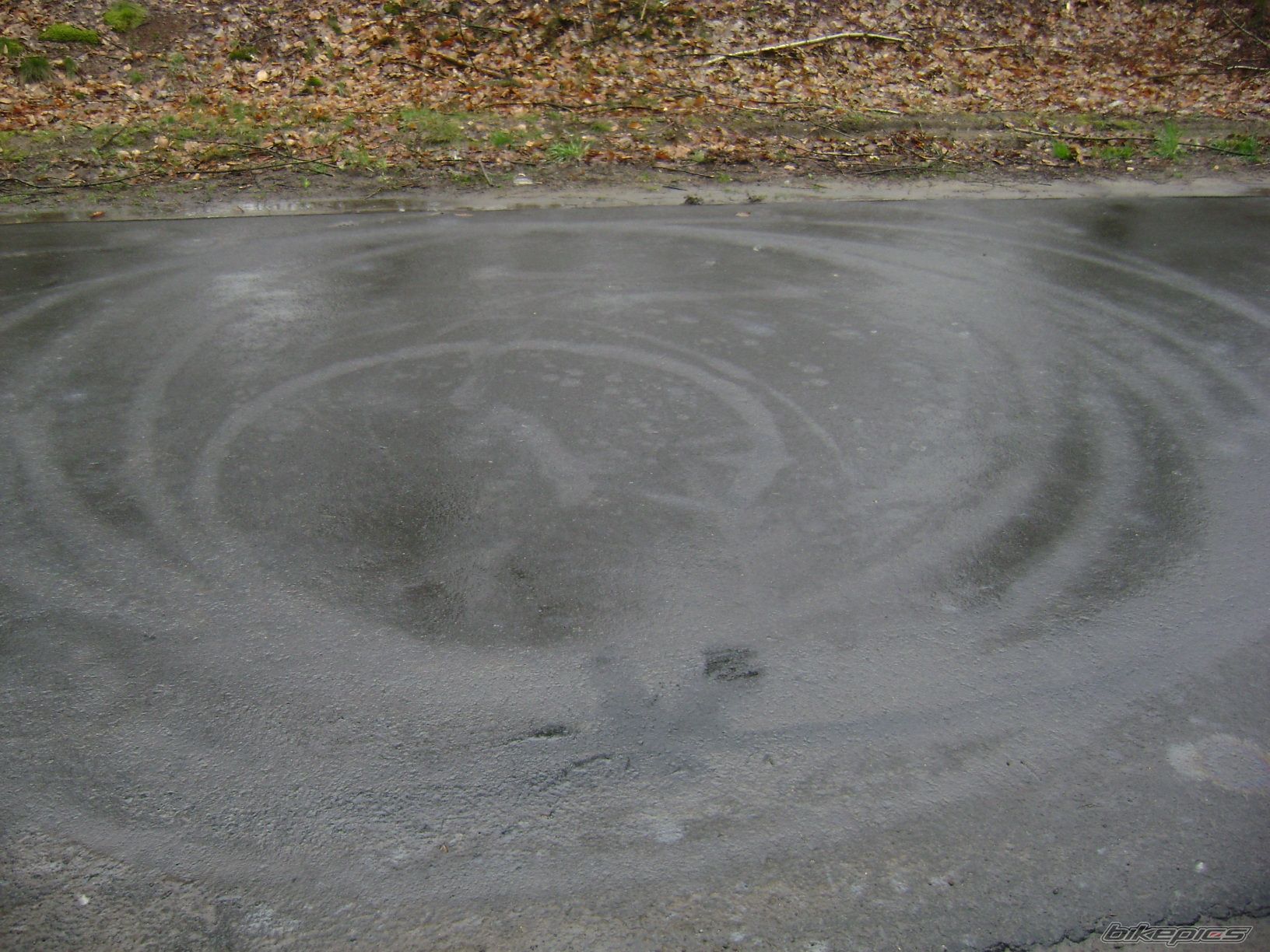 Photo 1250082