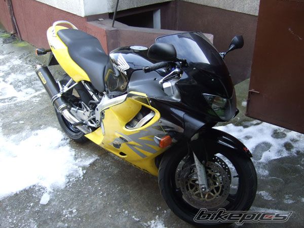 Photo 1250085
