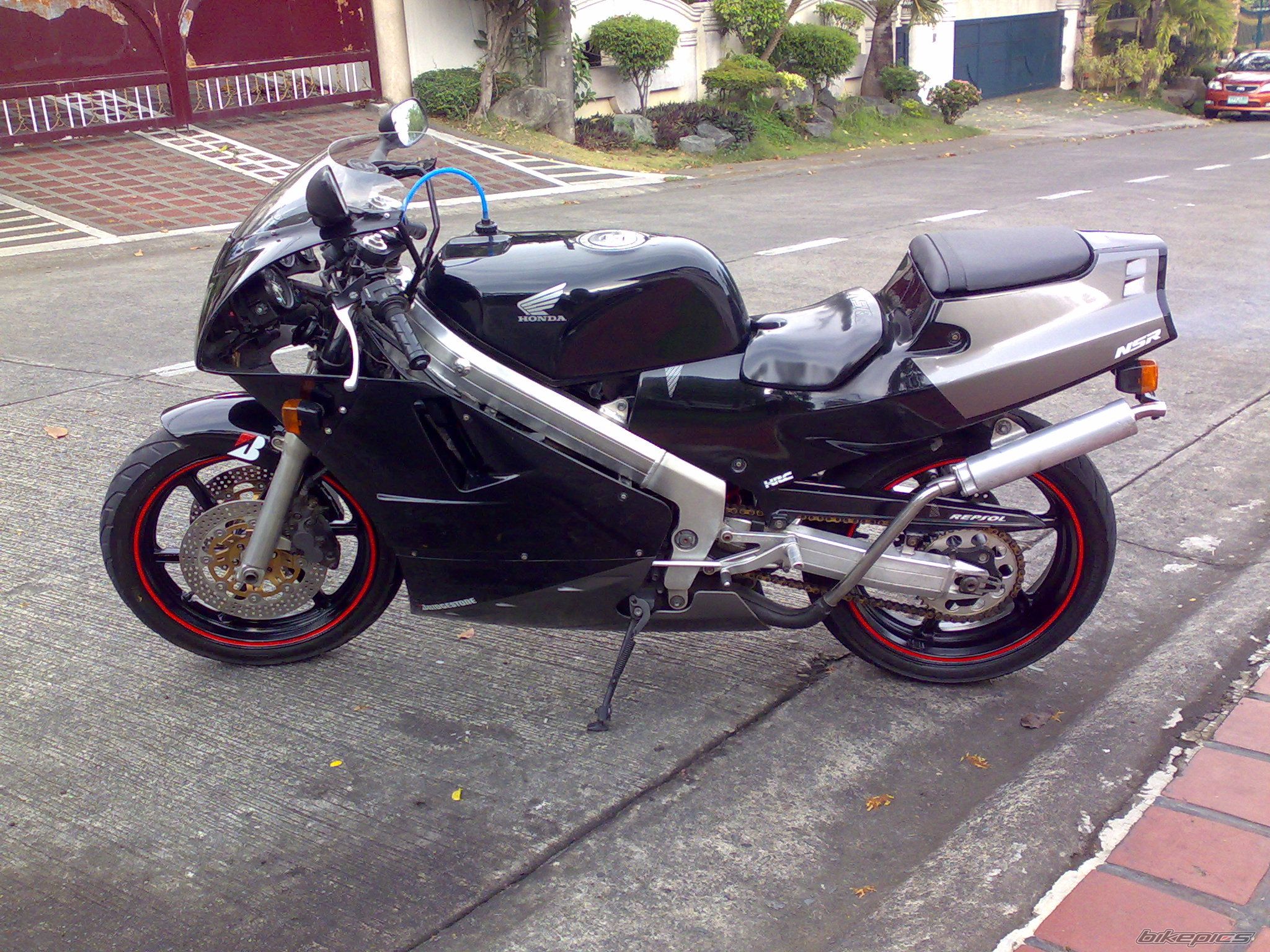 Photo 1250094