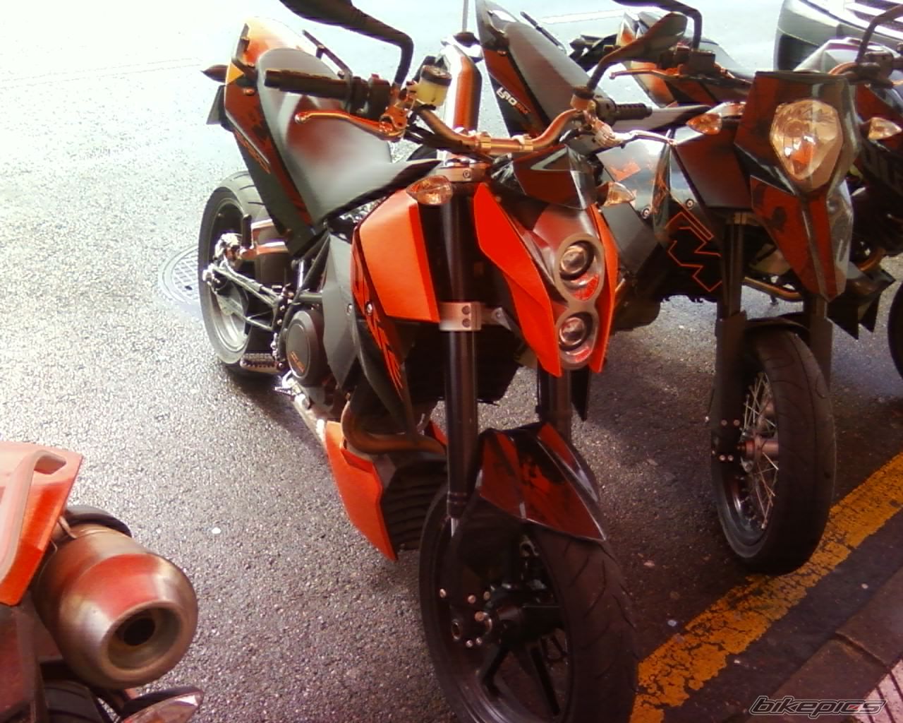 Photo 1250098