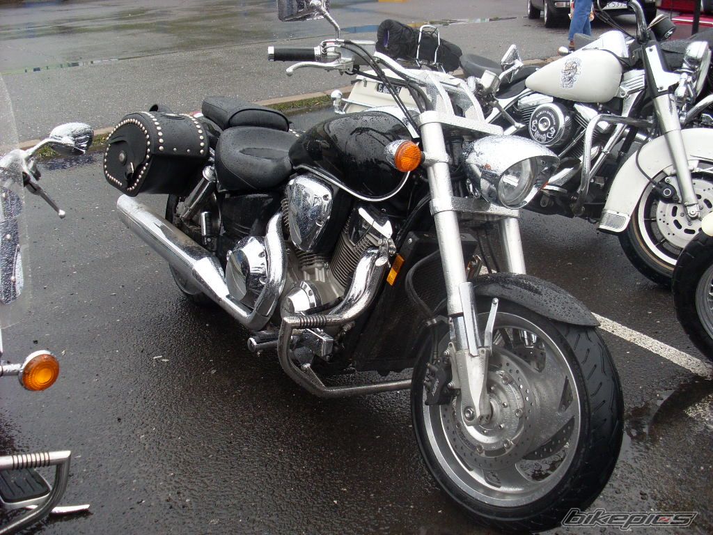 Photo 1250228