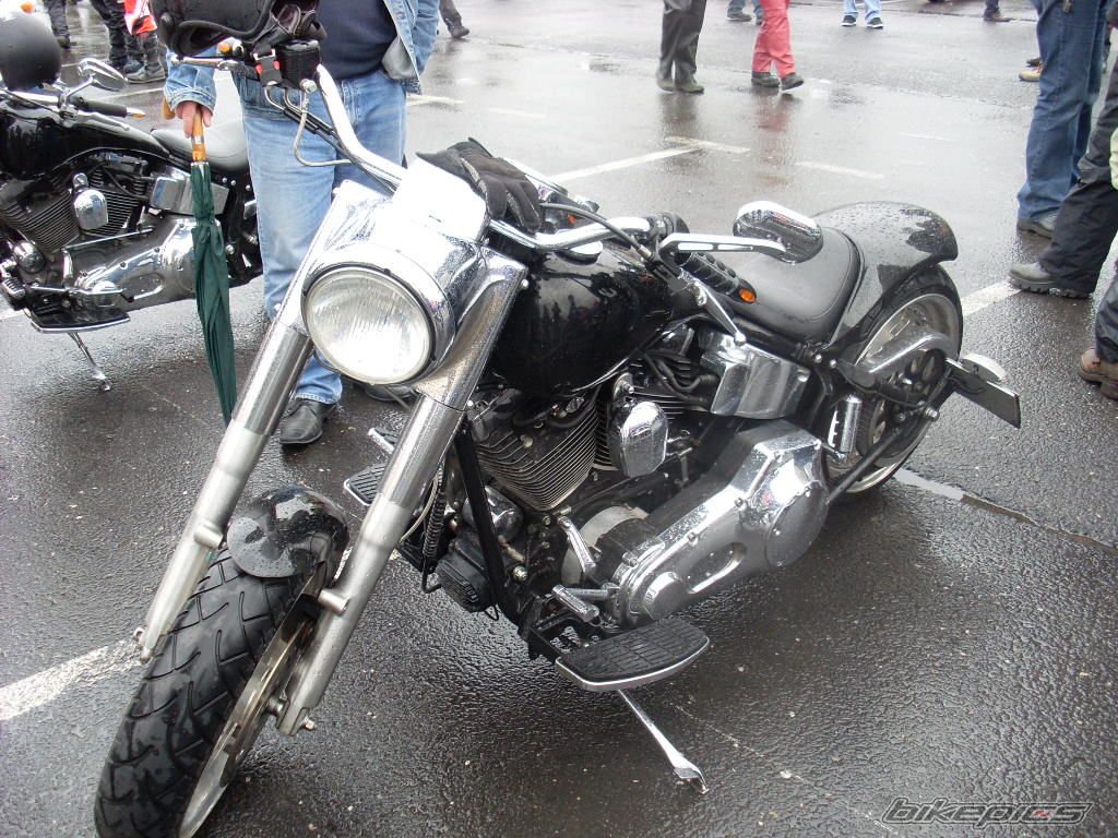 Photo 1250239