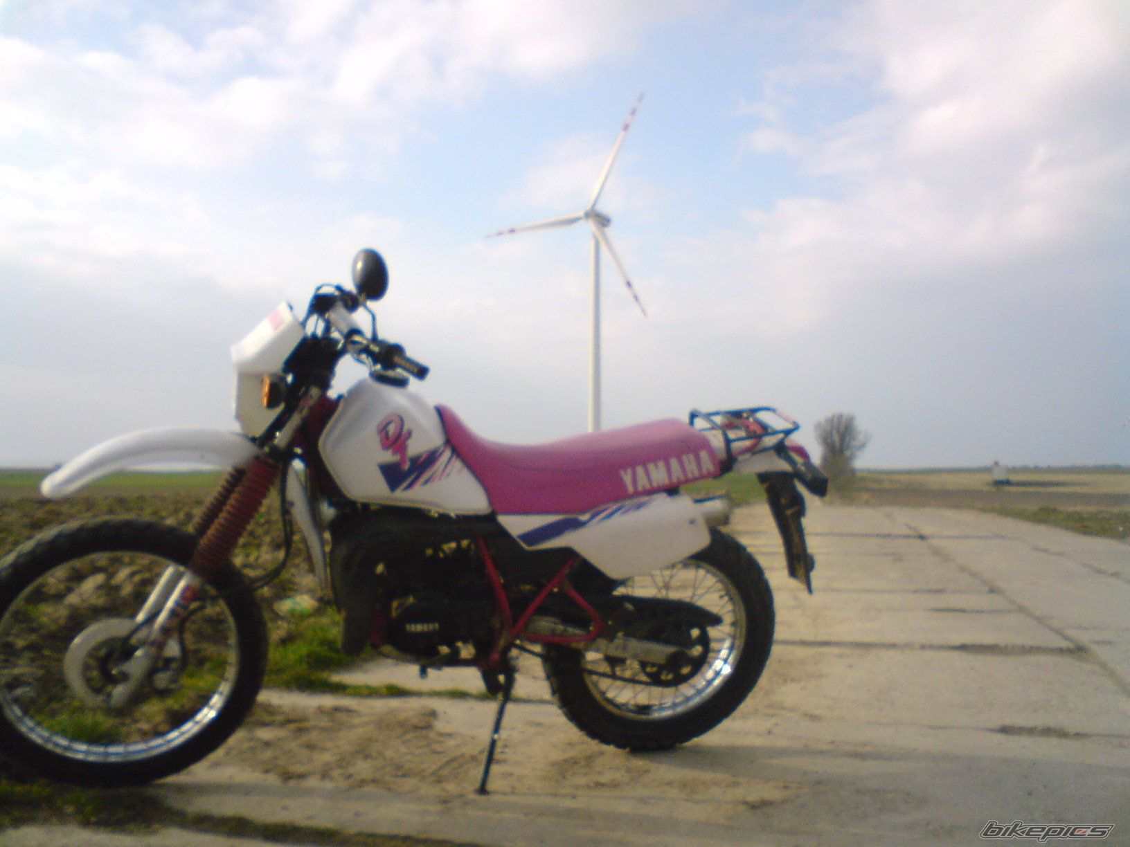 Photo 1250271