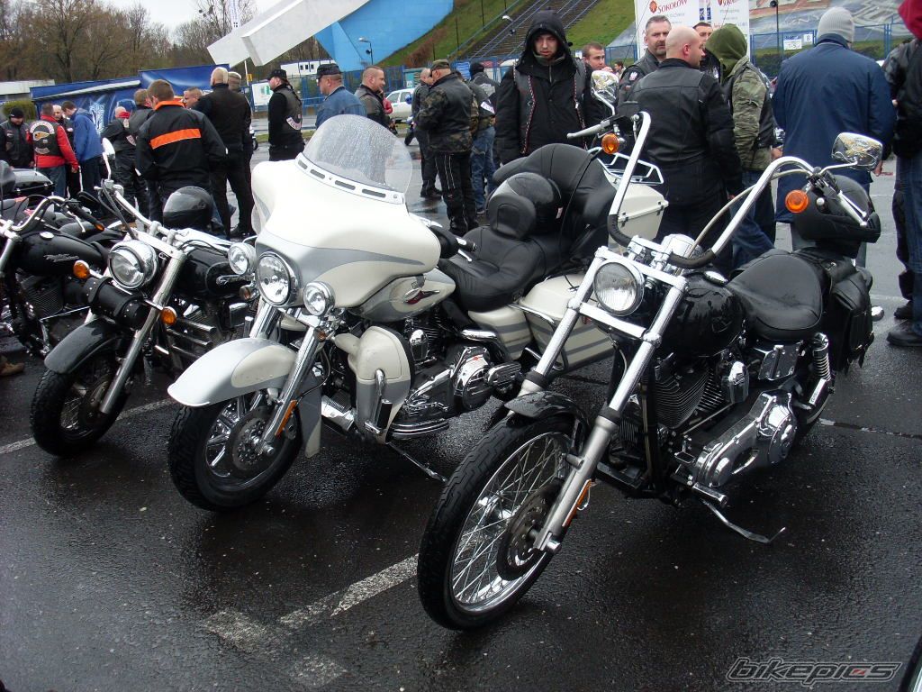 Photo 1250300
