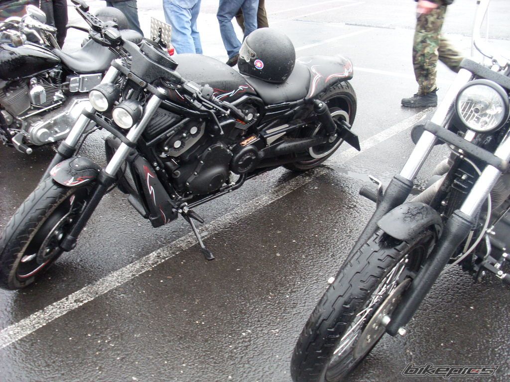 Photo 1250314