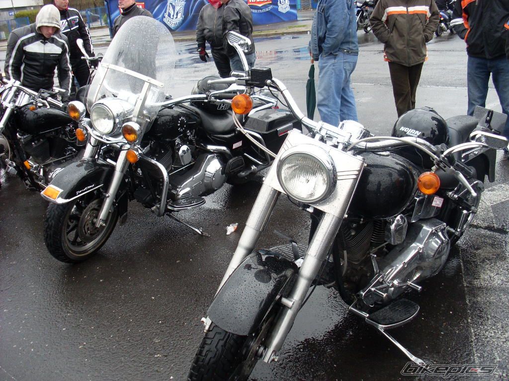 Photo 1250320