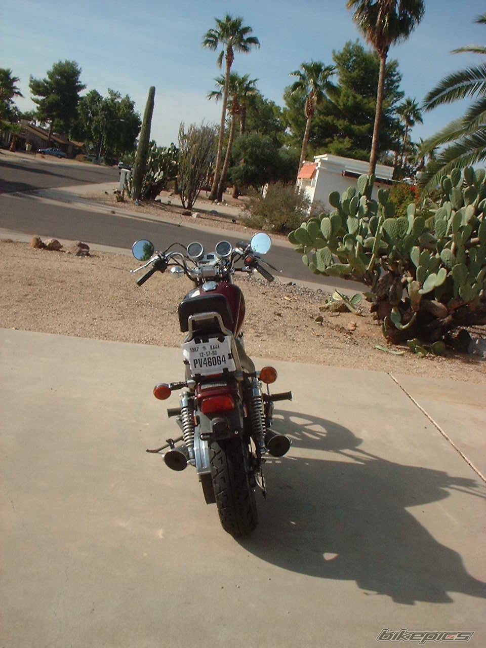 Photo 125034