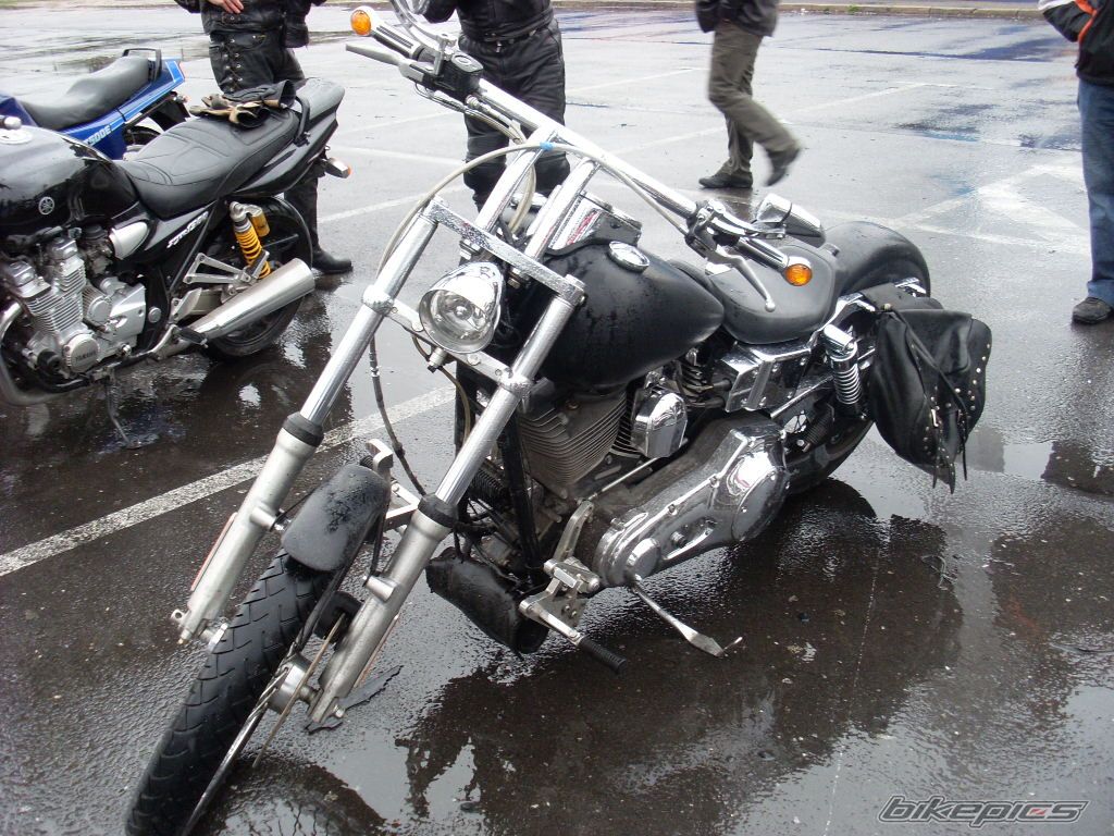 Photo 1250340