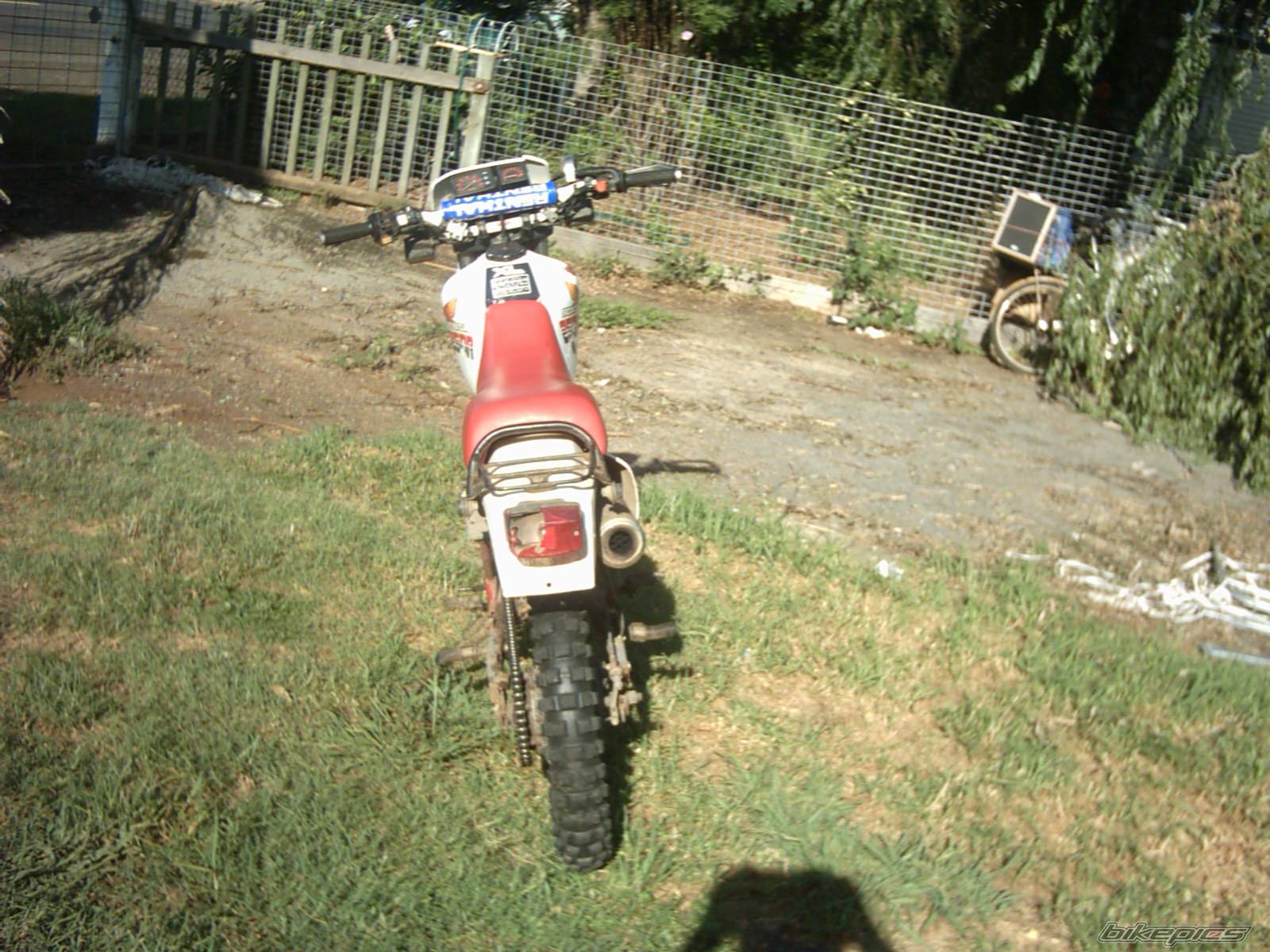 Photo 125059