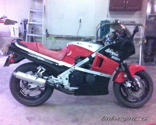 Photo 1250648