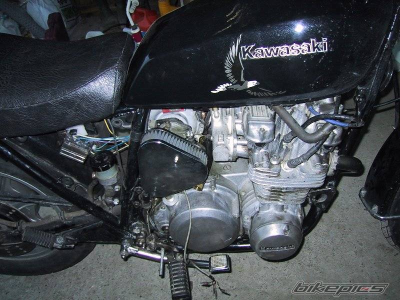 Photo 125073