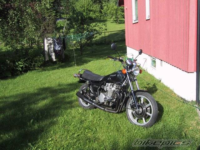 Photo 125081